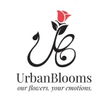 logo_box-02
